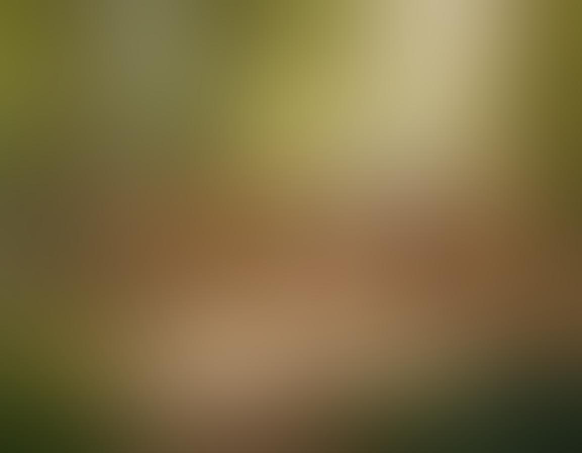 An open lush landscape featuring a joyful group of diverse people enjoying a naturist event, with colorful flags fluttering and engaging activities like yoga and dance. Sunlight streaming through the trees adds warmth, emphasizing body positivity and freedom. Include vibrant flowers and nature all around to symbolize connection with the earth. super-realistic. vibrant colors. natural scenery.