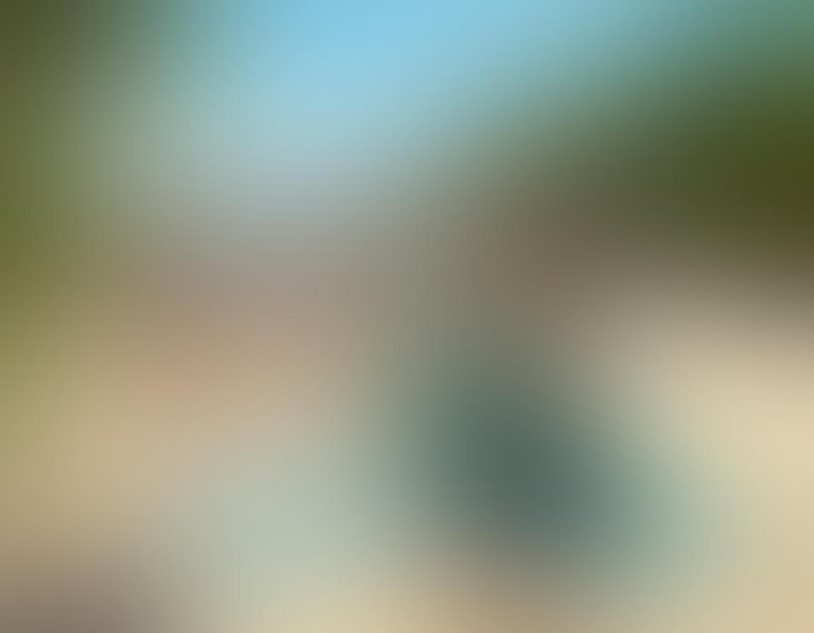 A serene beach scene where diverse naked individuals joyfully connect with nature under the sun, surrounded by lush greenery and shimmering waves. The atmosphere exudes freedom and acceptance, with bright smiles and playful interactions. Sunlight highlights the natural beauty of the body and the surrounding landscape. Soft, flowing elements like beach towels and hats add warmth and comfort. vibrant colors. 3D.